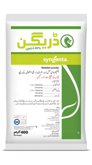 DRAGON 40% WP 400 GM